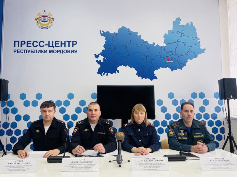 В Пресс-центре Республики Мордовия рассказали о мерах безопасности в новогодние праздники
